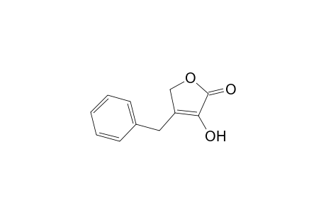 3-benzyl-4-hydroxy-2H-furan-5-one