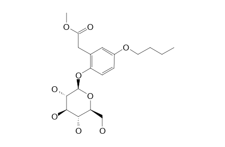 2-BETA-D-GLUCOPYRANOSYLOXY-5-BUTOXY-PHENYLACETIC-ACID-METHYLESTER