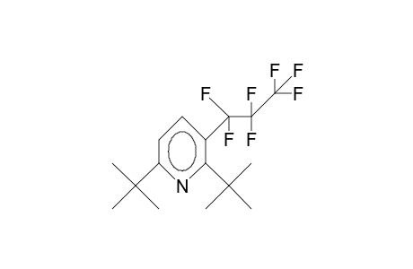 3-Heptafluoropropyl-2,6-di-tert-butyl-pyridine