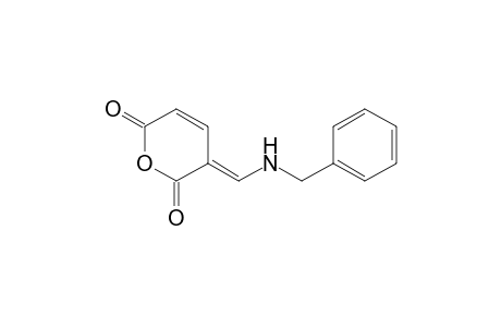 N-Benzyl-.alpha.-aminomethyleneglutaconic anhydride