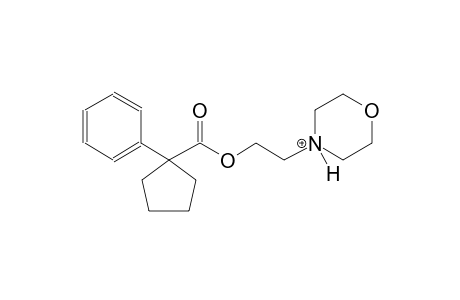 4-(2-{[(1-phenylcyclopentyl)carbonyl]oxy}ethyl)morpholin-4-ium
