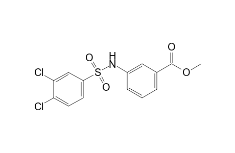 m-(3,4-dichlorobenzenesulfonamido)benzoic acid, methyl ester