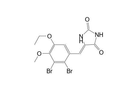 (5Z)-5-(2,3-dibromo-5-ethoxy-4-methoxybenzylidene)-2,4-imidazolidinedione