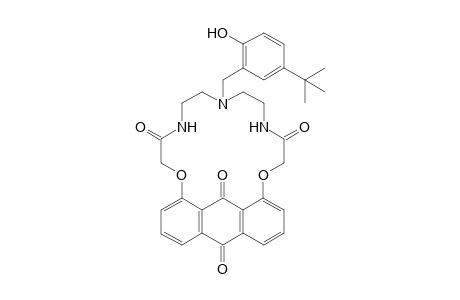 12-[(5-tert-butyl-2-hydroxyphenyl)methyl]-6,18-dioxa-9,12,15-triazatetracyclo[21.3.1.0(5,26).0(19,24)]heptacosa-1(26),2,4,19,21,23-hexaene-8,16,25,27-tetrone