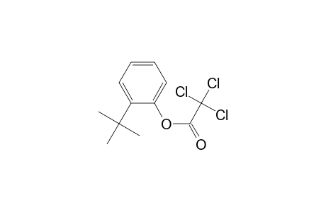 2-tert-Butylphenyl trichloroacetate