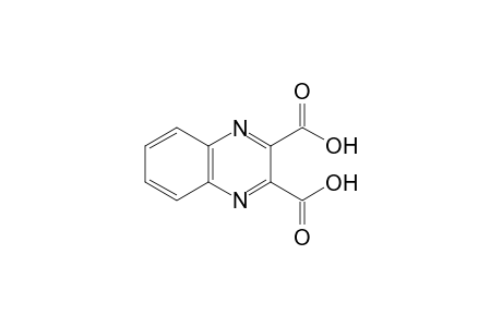 2,3-Quinoxalinedicarboxylic acid