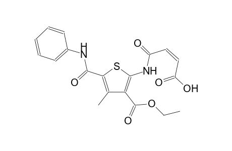 3-thiophenecarboxylic acid, 2-[[(2Z)-3-carboxy-1-oxo-2-propenyl]amino]-4-methyl-5-[(phenylamino)carbonyl]-, ethyl ester
