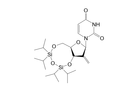 1-[2-Deoxy-2-methylene-3,5-O-(TPDS)-.beta.,D-erythro-pentafuranosyl]uracil