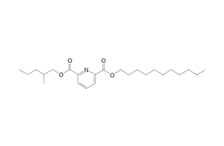 2,6-Pyridinedicarboxylic acid, 2-methylpentyl undecyl ester