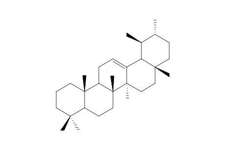 OLEANDEREN