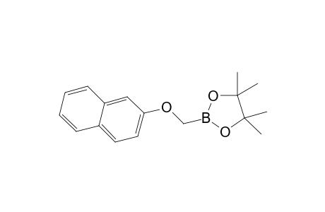 4,4,5,5-tetramethyl-2-(2-naphthyloxymethyl)-1,3,2-dioxaborolane