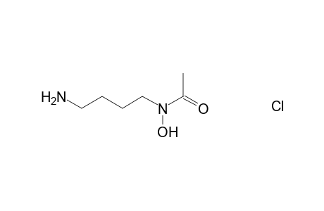 Acetamide, N-4-aminobutyl-N-hydroxy-, hydrochloride