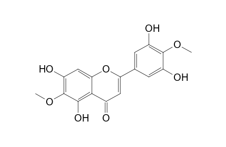 2-(3,5-dihydroxy-4-methoxy-phenyl)-5,7-dihydroxy-6-methoxy-chromen-4-one