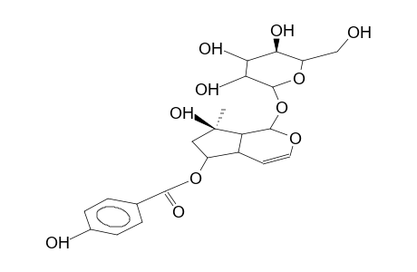 6-O-(P-HYDROXYBENZOYL)-AJUGOL