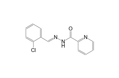 2-pyridinecarboxylic acid, 2-[(E)-(2-chlorophenyl)methylidene]hydrazide