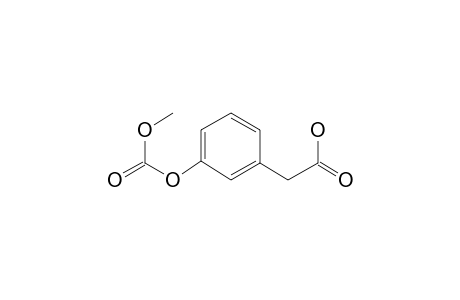 2-(3-Methoxycarbonyloxyphenyl)acetic acid