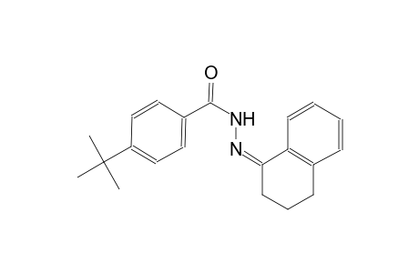 4-tert-butyl-N'-((1Z)-3,4-dihydro-1(2H)-naphthalenylidene)benzohydrazide