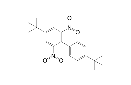 5-tert-butyl-2-(4-tert-butylphenyl)-1,3-dinitro-benzene