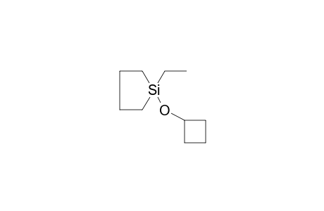 1-(Cyclobutyloxy)-1-ethylsilolane