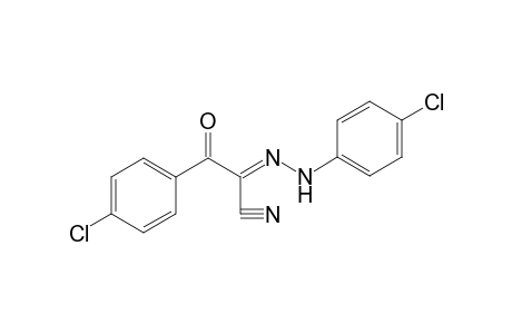 (2E)-3-(4-Chlorophenyl)-2-[(4-chlorophenyl)hydrazono]-3-oxopropanenitrile