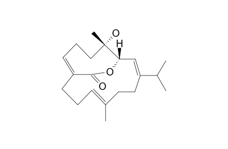 ECHINODOLIDE-B