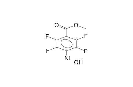 N-HYDROXY-4-METHOXYCARBONYLTETRAFLUOROANILINE
