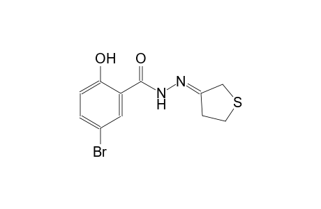 5-bromo-N'-((3E)-dihydro-3(2H)-thienylidene)-2-hydroxybenzohydrazide