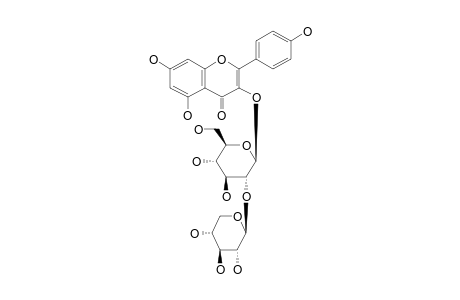KAEMPFEROL-3-O-BETA-XYLOPYRANOSYL-(1->2)-BETA-GLUCOPYRANOSIDE