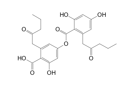 Benzoic acid, 2,4-dihydroxy-6-(2-oxopentyl)-, 4-carboxy-3-hydroxy-5-(2-oxopentyl)phenyl ester