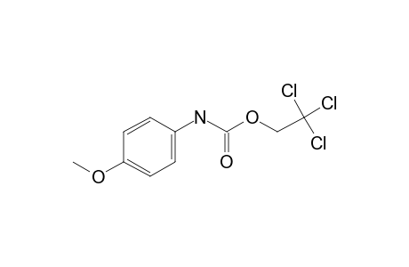 Carbonic acid, monoamide, N-(4-methoxyphenyl)-, 2,2,2-trichloroethyl ester