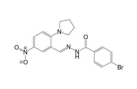 benzoic acid, 4-bromo-, 2-[(E)-[5-nitro-2-(1-pyrrolidinyl)phenyl]methylidene]hydrazide