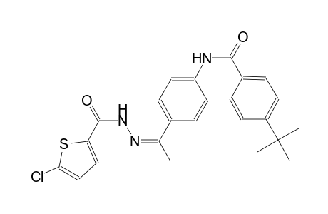 4-tert-butyl-N-(4-{(1Z)-N-[(5-chloro-2-thienyl)carbonyl]ethanehydrazonoyl}phenyl)benzamide