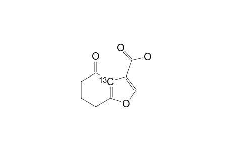 (3A-C-13)-4,5,6,7-TETRAHYDRO-4-OXOBENZOFURAN-3-CARBOXYLIC-ACID