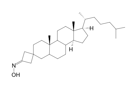 (3' E)-3'-(Hydroxyimino)spiro[ 5.alpha.-cholestane-3,1'-cycobutane]