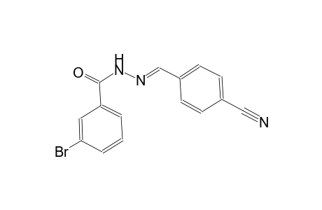 benzoic acid, 3-bromo-, 2-[(E)-(4-cyanophenyl)methylidene]hydrazide