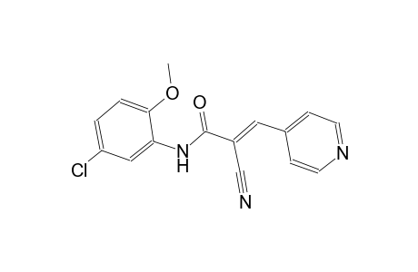 (2E)-N-(5-chloro-2-methoxyphenyl)-2-cyano-3-(4-pyridinyl)-2-propenamide