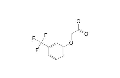 [3-(Trifluoromethyl)phenoxy]acetic acid