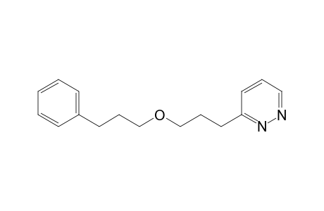 3-[3-(3-Phenylpropoxy)propyl]pyridazine