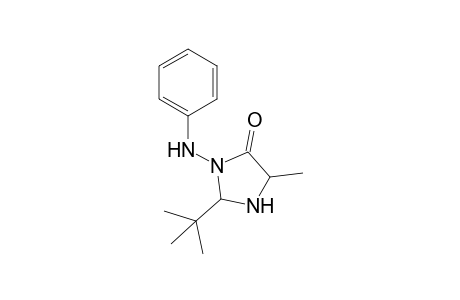 2-(t-Butyl)-3-(phenylamino)-5-methylimidazolidin-4-one