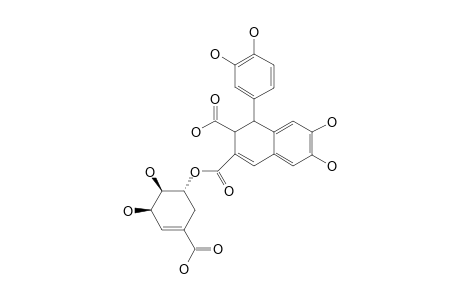 2,3-DICARBOXY-6,7-DIHYDROXY-1-(3',4'-DIHYDROXY)-PHENYL-1,2-DIHYDRONAPHTHALENE-9,5''-O-SHIKIMIC ACID ESTER