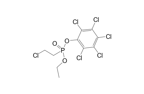 1,2,3,4,5-pentachloro-6-[2-chloroethyl(ethoxy)phosphoryl]oxy-benzene