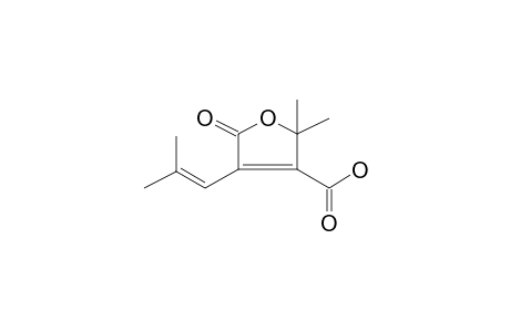 2,2-Dimethyl-4-(2-methyl-1-propenyl)-5-oxo-2,5-dihydro-3-furancarboxylic acid