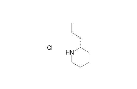 (R)-(-)-Coniine hydrochloride