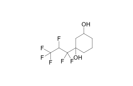 1-(1,1,2,3,3,3-hexafluoropropyl)cyclohexane-1,3-diol