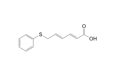 6-(Phenylthio)hexa-2,4-dienoic acid