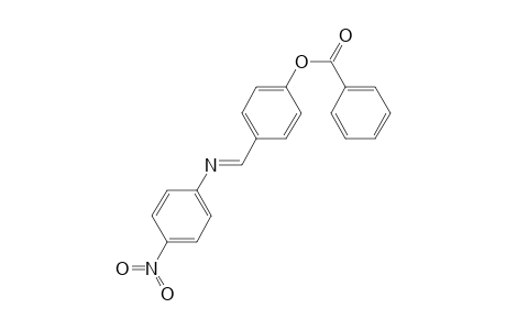 4-((E)-[(4-Nitrophenyl)imino]methyl)phenyl benzoate