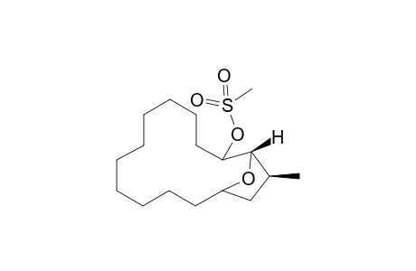 (1S,2RS,13RS,15S)-15-Methyl-16-oxabicyclo[11.2.1]hexadec-2-yl Methanesulfonate