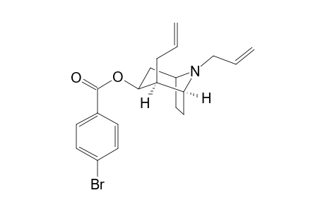 2,8-Diallyl-8-azabicyclo[3.2.1]octan-3-yl 4-bromobenzoate