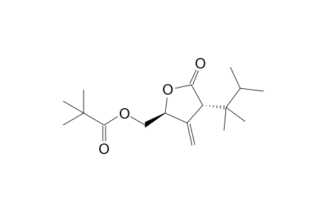 (3R,5S)-4-Methylene-3-(1,1,2-trimethylpropyl)-5-pivaloyloxymethyl-2-oxolanone