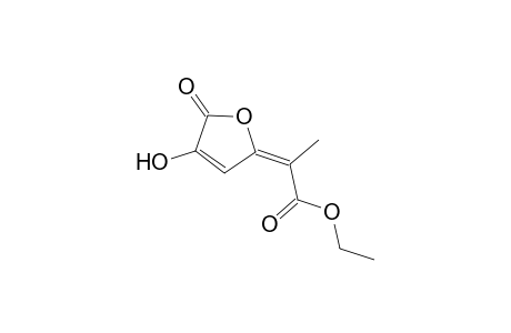 3-Hydroxy-5-[1-(ethoxycarbonyl)ethylidene]dihydrofuran-2-one